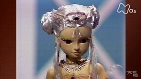 (41)