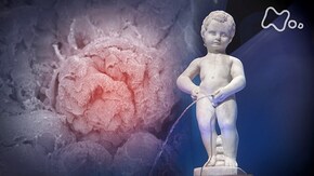 第一集「“腎臓”が寿命を決める」