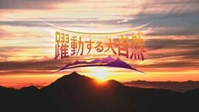 イナガキヤスト “天空の水鏡”を撮る