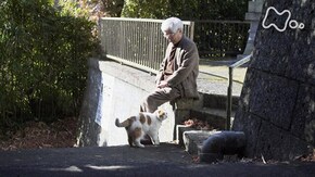 「養老センセイと“まる”鎌倉に暮らす」