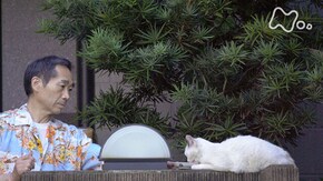 「保坂和志とシロちゃん」