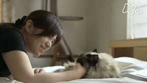 「柚月裕子とメルとピノ」