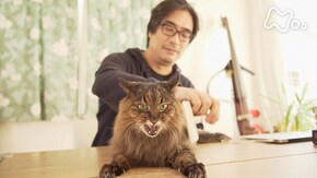 「岸 政彦とおはぎ」