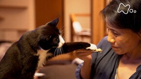 「西炯子と大ちゃん」