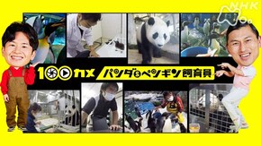 パンダ&ペンギン飼育員