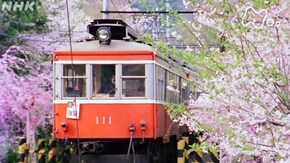 「天下の嶮の登山電車-神奈川県・箱根町-」