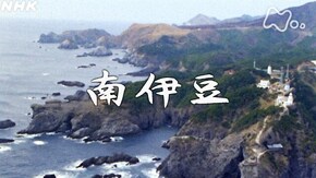 「南伊豆」