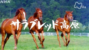 「サラブレッド高原~北海道・日高~」