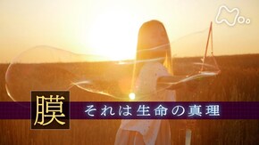 「“膜” それは生命の真理」