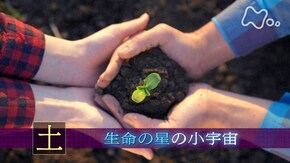 「“土” 生命の星の小宇宙」