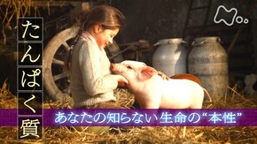 「たんぱく質」あなたの知らない生命の“本性”