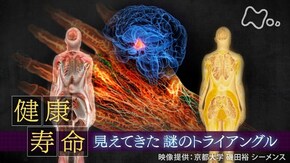 「健康寿命」見えてきた謎のトライアングル