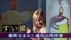 「すい臓」 寡黙なるヒト進化の同伴者