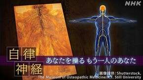 「自律神経」あなたを操るもう一人のあなた