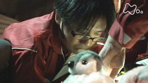 ペンギンちゃん大縄跳び