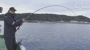 明け方の勝負!カセに集まる寒ブリ~和田一浩 和歌山・串本町~