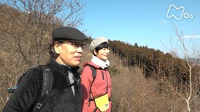 「宝登山・埼玉」