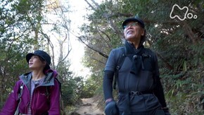 「六甲山最高峰・兵庫」
