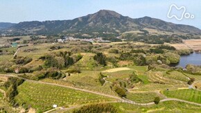 「角田山(かくだやま)・新潟」
