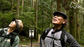 「鳳来寺山(ほうらいじさん)・愛知」
