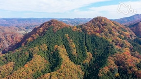 「月居山(つきおれさん)・茨城」