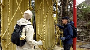 「子ノ山(ねのやま)・埼玉」