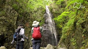「川苔(のり)山・東京」