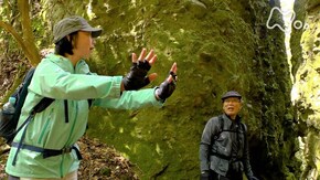 「両子山・大分」