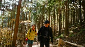 「武甲山(ぶこうさん)・埼玉」