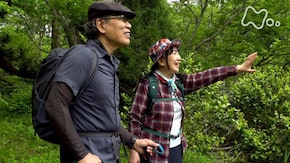 「高落場山(たかおちばやま)・富山」