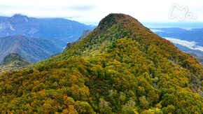 「戸倉山・新潟」