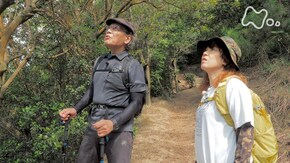 「王子が岳・岡山」