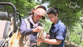 「“幸せな牛”の住む山で 岩手・岩泉町」