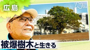 「被爆樹木と生きる」