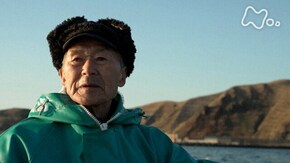 「海獣のいる海 北海道・礼文島」