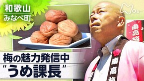 「うめ課長の試練~和歌山・みなべ町~」