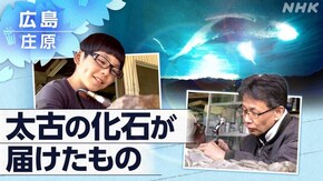 「クジラ眠る山里で ~広島 太古の化石が届けたもの~」