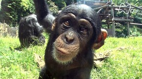 高知県立のいち動物公園