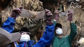 高知県立のいち動物公園 第2弾