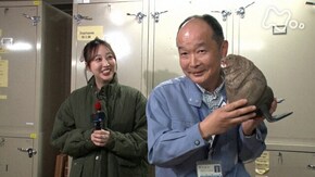 千葉県立中央博物館