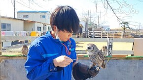 東京動物専門学校