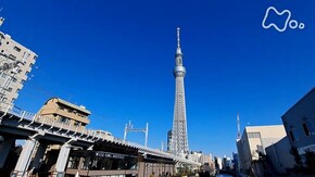 東京スカイツリー