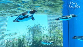 サンシャイン水族館