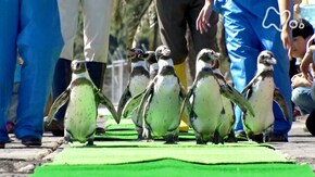 長崎ペンギン水族館