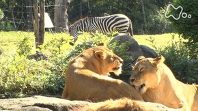 天王寺動物園