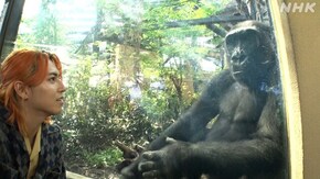 京都市動物園