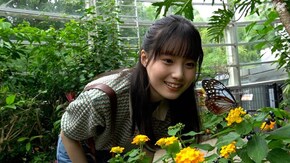 伊丹市昆虫館