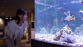 すみだ水族館