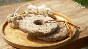 北海道 アイヌ伝統の保存食