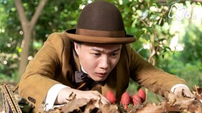 第25週「ムラサキカタバミ」 (121)